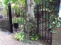 Swing Gates - project portfolio 53